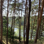 The Creative Body  //  A Yoga Retreat for Presence, Play and Expression